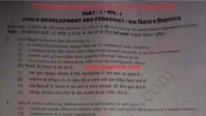 CTET Question Paper 2024 PDF Download